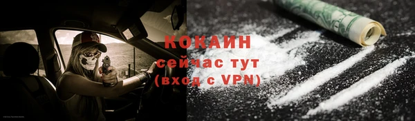 дмт Сясьстрой