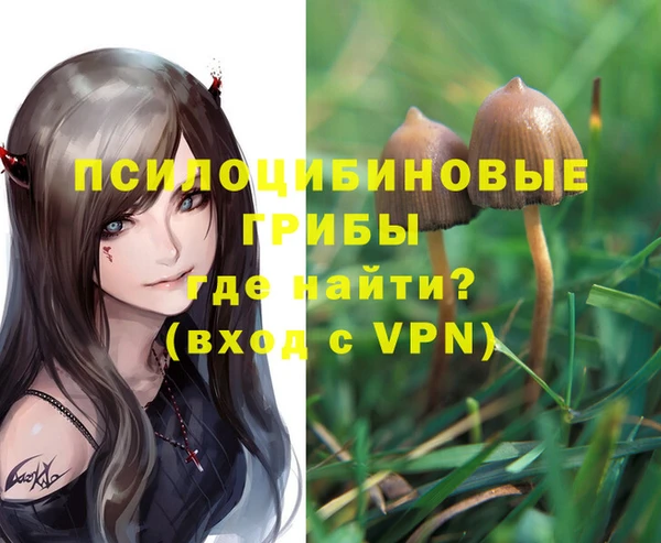 мдпв Вязьма