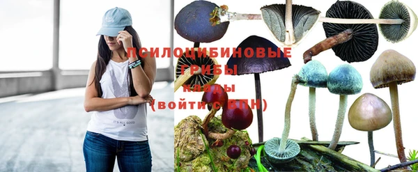 mdma Вяземский