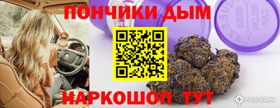 стафф Камышлов