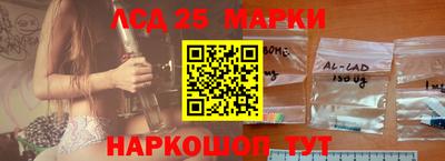 стафф Камышлов