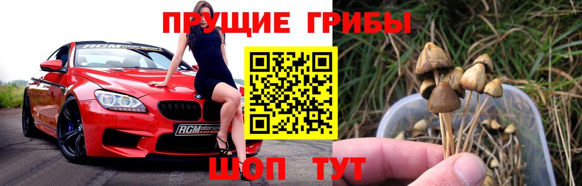 Галлюциногенные грибы MAGIC MUSHROOMS Снежинск